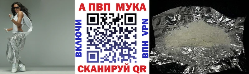 где купить shop как зайти Alpha-PVP СК КРИС Болотное