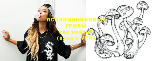 2c-b Богданович