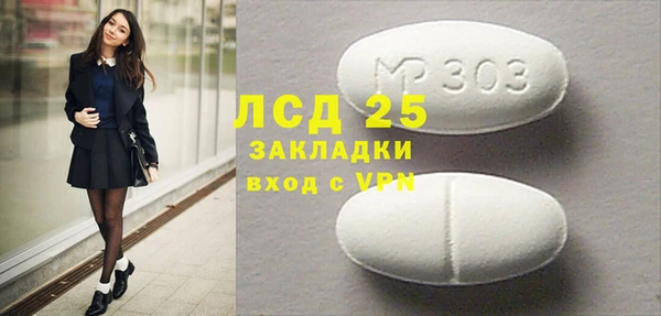 шишки Каменногорск