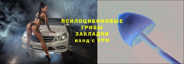 PSILOCYBIN Богородск