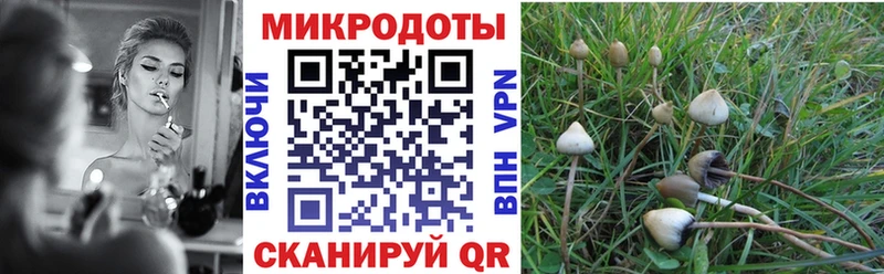 наркотики  Болотное  Галлюциногенные грибы мухоморы 